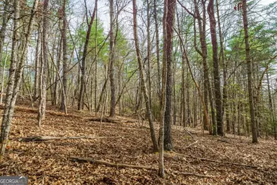 Lot 6 Hampton Road #6, Morganton, GA 30560 - Photo 12