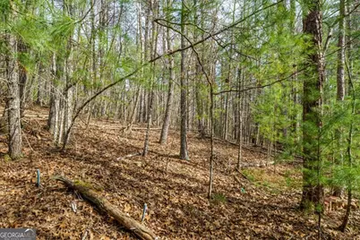 Lot 6 Hampton Road #6, Morganton, GA 30560 - Photo 10