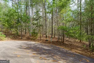 Lot 6 Hampton Rd, Morganton, GA 30560 - Photo 1
