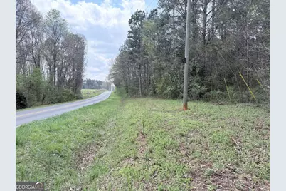 00 Old Columbus Road, Bowdon, GA 30108 - Photo 2