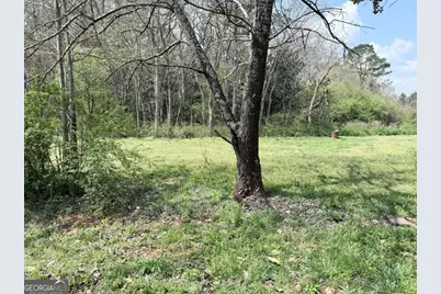 00 Old Columbus Road, Bowdon, GA 30108 - Photo 4
