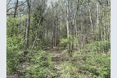 00 Old Columbus Road, Bowdon, GA 30108 - Photo 6