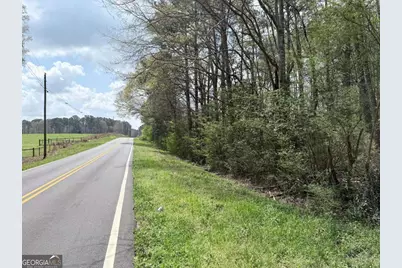 00 Old Columbus Road, Bowdon, GA 30108 - Photo 8