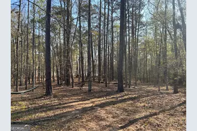 1697 Broad River Scenic Drive, Tignall, GA 30668 - Photo 8