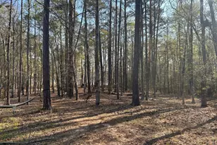 1697 Broad River Scenic Dr, Tignall, GA 30668 - Photo 8