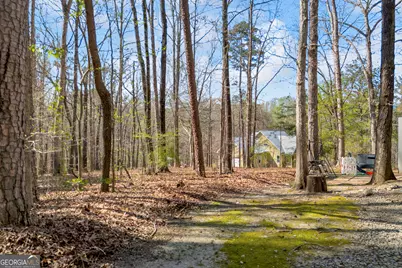 342 Brown Bridge Road, Auburn, GA 30011 - Photo 34