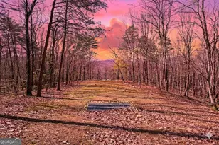 843 Fern Valley Rd, Ellijay, GA 30536 - Photo 56