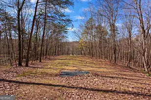 843 Fern Valley Rd, Ellijay, GA 30536 - Photo 6