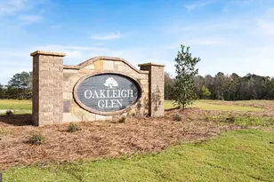 103 Glenrise Dr, Dallas, GA 30157 - Photo 32