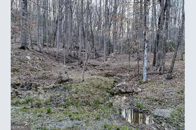 633 Timber Ridge Road, Blairsville, GA 30512 - Photo 62