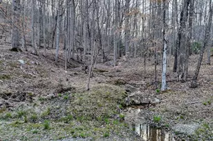 633 Timber Ridge Rd, Blairsville, GA 30512 - Photo 62