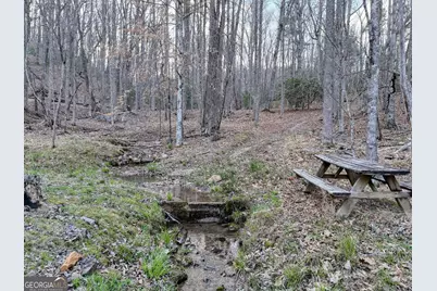 633 Timber Ridge Road, Blairsville, GA 30512 - Photo 76