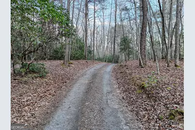 633 Timber Ridge Road, Blairsville, GA 30512 - Photo 64