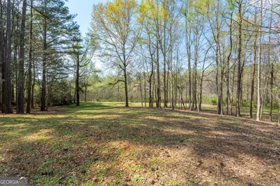 110 Allie Drive, McDonough, GA 30252 - Photo 68