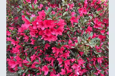 1104 Farm Road, Colbert, GA 30628 - Photo 34