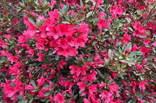 1104 Farm Rd, Colbert, GA 30628 - Photo 34