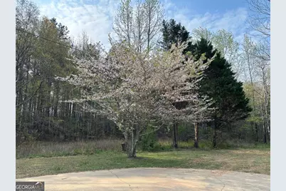 1104 Farm Road, Colbert, GA 30628 - Photo 32