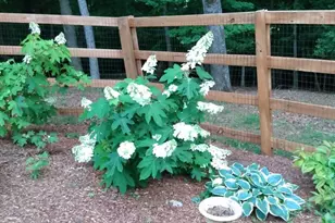 57 Cherry Ct, Ellijay, GA 30540 - Photo 46