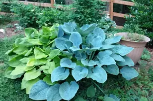 57 Cherry Ct, Ellijay, GA 30540 - Photo 48