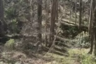 0 Jackson Rd, Griffin, GA 30223 - Photo 1