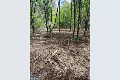 0 Jackson Road, Griffin, GA 30223 - Photo 6