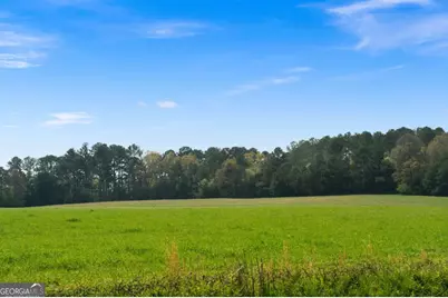 0 Taylorsville Macedonia Rd. Tract 1 Road, Taylorsville, GA 30178 - Photo 2