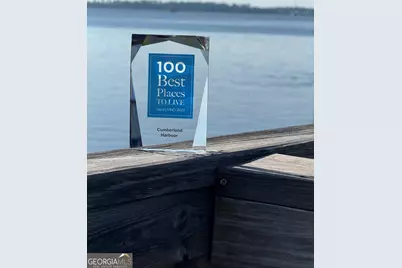 Lot 694 Mooring Lane, Saint Marys, GA 31558 - Photo 8