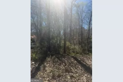 10996 Shannon Circle, Hampton, GA 30228 - Photo 2