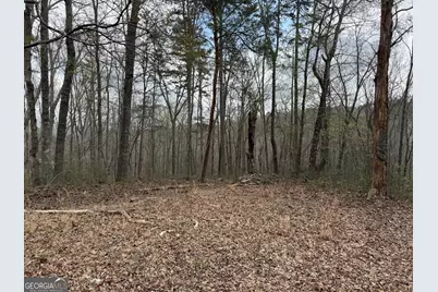 3467 Carver Mill Road, Talking Rock, GA 30175 - Photo 32