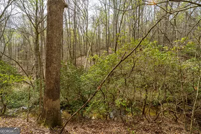 3467 Carver Mill Road, Talking Rock, GA 30175 - Photo 18