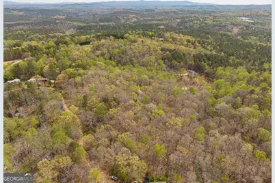 3467 Carver Mill Road, Talking Rock, GA 30175 - Photo 22