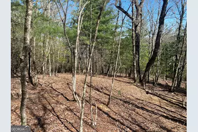 Lot 27 Lake Rabun Bluffs, Lakemont, GA 30552 - Photo 12