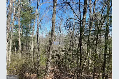 Lot 27 Lake Rabun Bluffs, Lakemont, GA 30552 - Photo 14