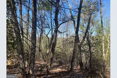 Lot 27 Lake Rabun Bluffs, Lakemont, GA 30552 - Photo 10