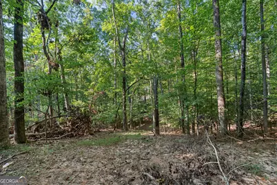 6314 Point Twenty Two, Gainesville, GA 30506 - Photo 10