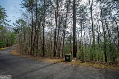 Lot 8 Oceola Drive, Ellijay, GA 30540 - Photo 6