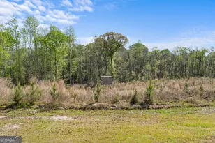 60 Tucker Rd, Claxton, GA 30417 - Photo 36