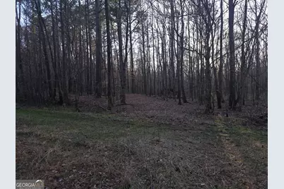 0 Golden Road, Temple, GA 30179 - Photo 6