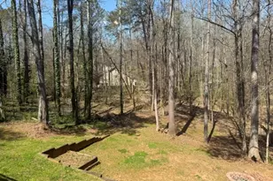 217 Cherokee Village Dr, Ball Ground, GA 30107 - Photo 32