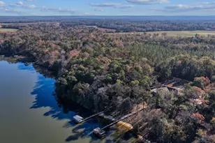 221 Sunset Point Rd, Fort Gaines, GA 39851 - Photo 54