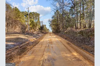 221 Sunset Point Road, Fort Gaines, GA 39851 - Photo 30