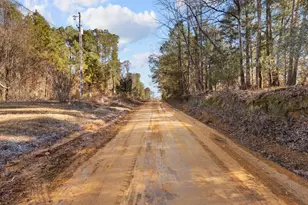221 Sunset Point Rd, Fort Gaines, GA 39851 - Photo 30