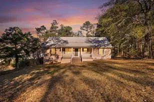 221 Sunset Point Rd, Fort Gaines, GA 39851 - Photo 56