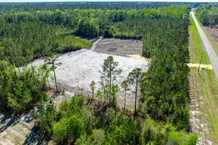 4701 Riggins Rd, Blackshear, GA 31516 - Photo 44