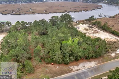 Lot 29 Jerico Marsh Road, Midway, GA 31320 - Photo 10