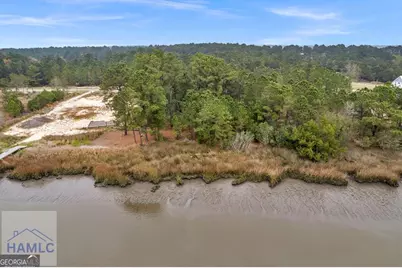 Lot 29 Jerico Marsh Road, Midway, GA 31320 - Photo 6