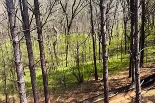 3279 Tommy Dillard, Monroe, GA 30656 - Photo 2