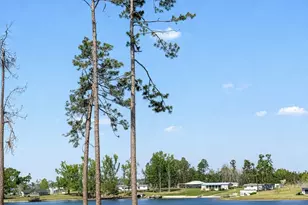 514 Walker Ln, Baxley, GA 31513 - Photo 26