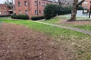 1148 Briarcliff Rd NE, Atlanta, GA 30306 - Photo 28