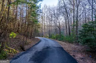 802 Mull Valley Rd, Morganton, GA 30560 - Photo 70